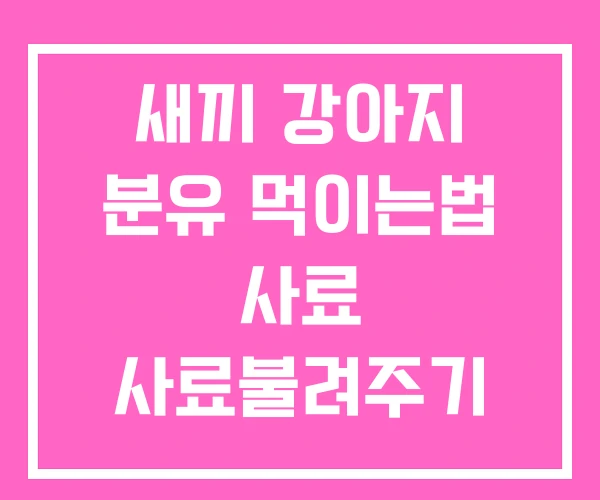 새끼 강아지 분유 먹이는법 사료 사료불려주기