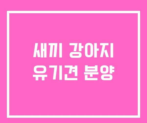 새끼 강아지 유기견 분양