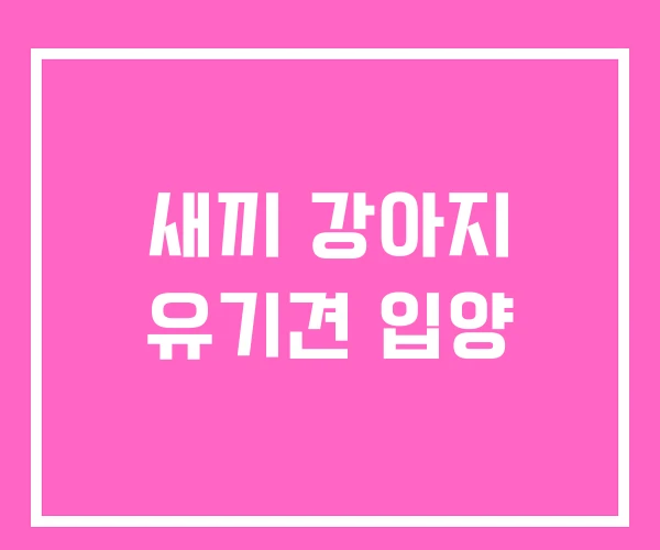 새끼 강아지 유기견 입양