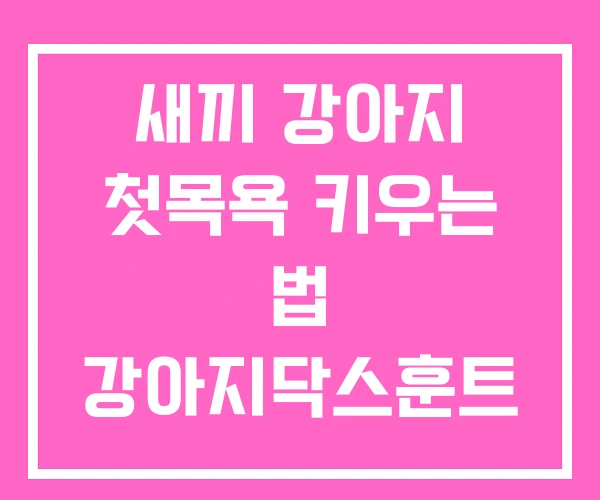 새끼 강아지 첫목욕 키우는 법 강아지닥스훈트 무료분양