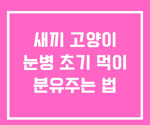 새끼 고양이 눈병 초기 먹이 분유주는 법