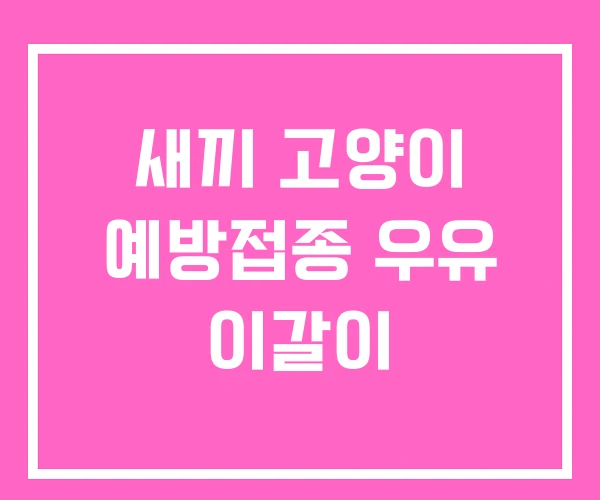 새끼 고양이 예방접종 우유 이갈이 새끼 고양이 예방접종 우유 이갈이