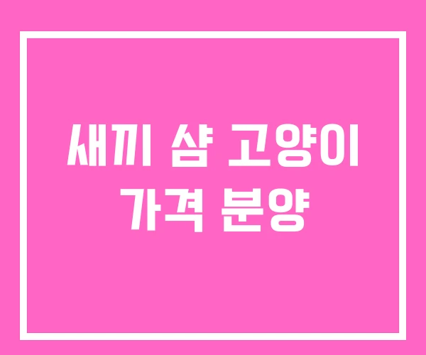 새끼 샴 고양이 가격 분양