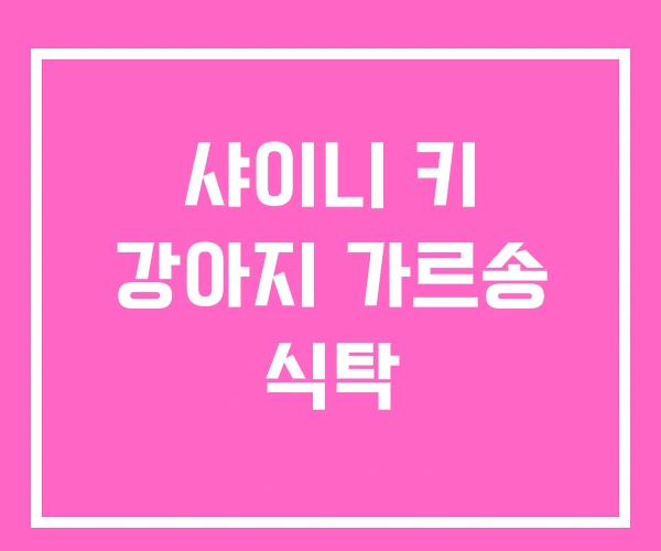 샤이니 키 강아지 가르송 식탁