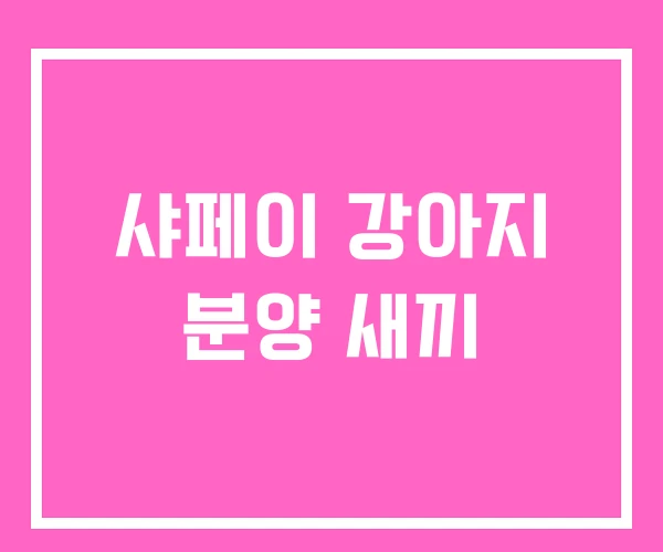 샤페이 강아지 분양 새끼