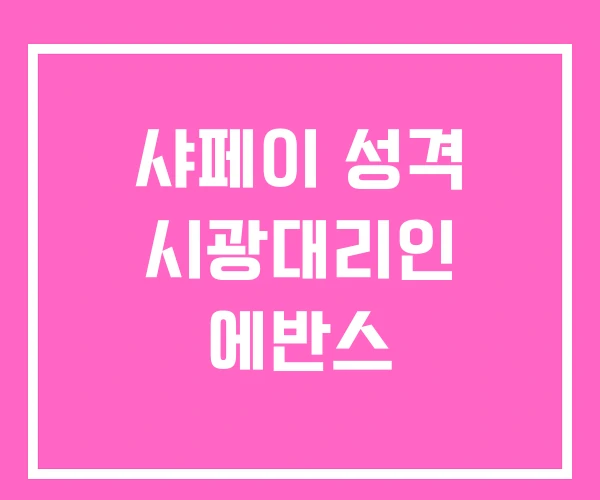 샤페이 성격 시광대리인 에반스 샤페이 성격 시광대리인 에반스