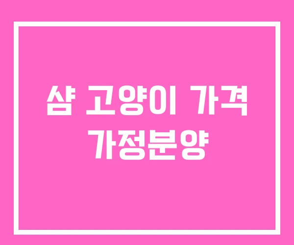샴 고양이 가격 가정분양 샴 고양이 가격 가정분양