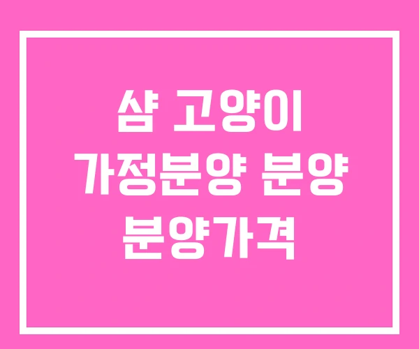 샴 고양이 가정분양 분양 분양가격