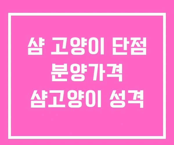 샴 고양이 단점 분양가격 샴고양이 성격 샴 고양이 단점 분양가격 샴고양이 성격