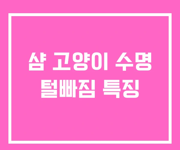 샴 고양이 수명 털빠짐 특징 샴 고양이 수명 털빠짐 특징