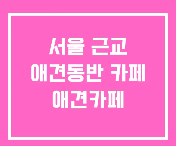 서울 근교 애견동반 카페 애견카페