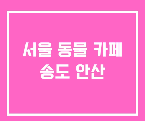 서울 동물 카페 송도 안산