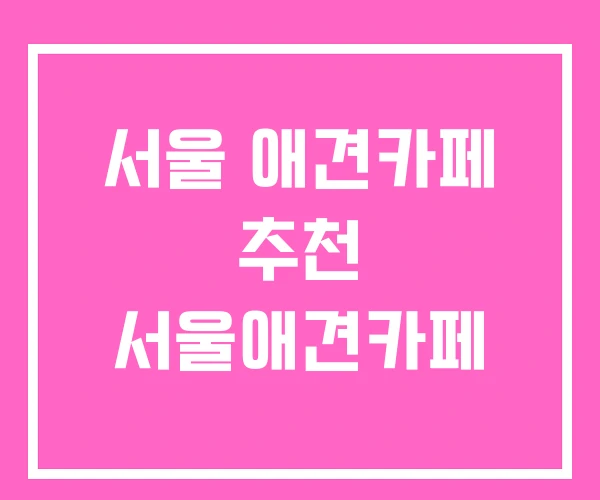 서울 애견카페 추천 서울애견카페