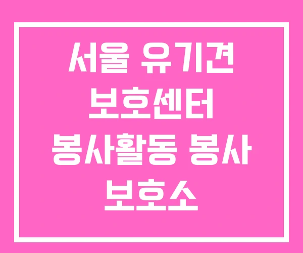 서울 유기견 보호센터 봉사활동 봉사 보호소
