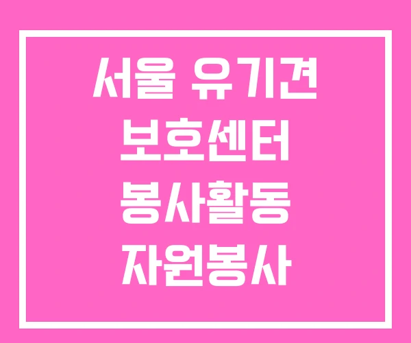 서울 유기견 보호센터 봉사활동 자원봉사