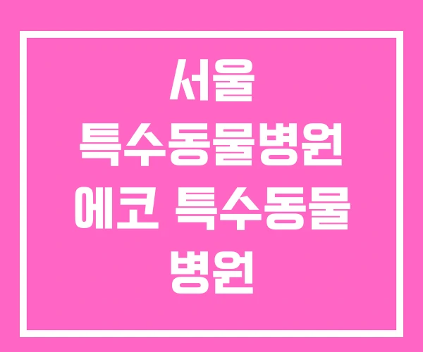 서울 특수동물병원 에코 특수동물 병원