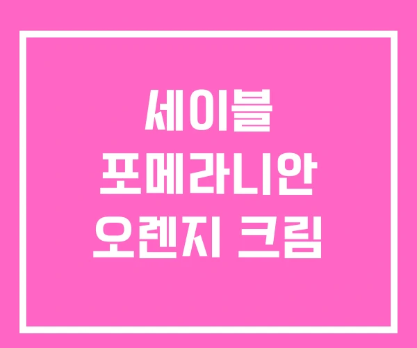 세이블 포메라니안 오렌지 크림