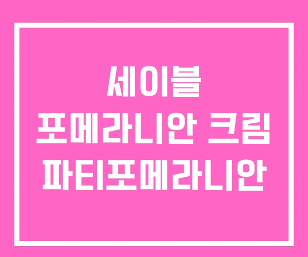 세이블 포메라니안 크림 파티포메라니안