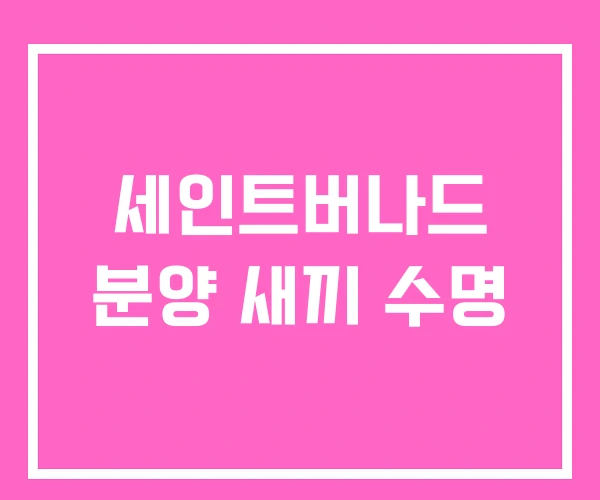 세인트버나드 분양 새끼 수명 세인트버나드 분양 새끼 수명