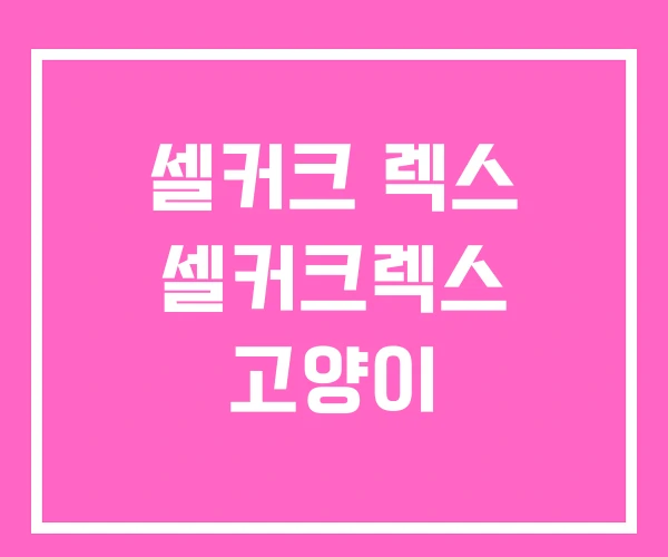 셀커크 렉스 셀커크렉스 고양이