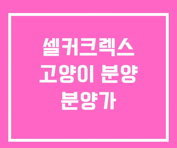 셀커크렉스 고양이 분양 분양가