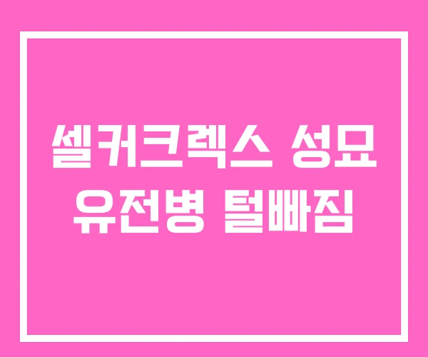 셀커크렉스 성묘 유전병 털빠짐