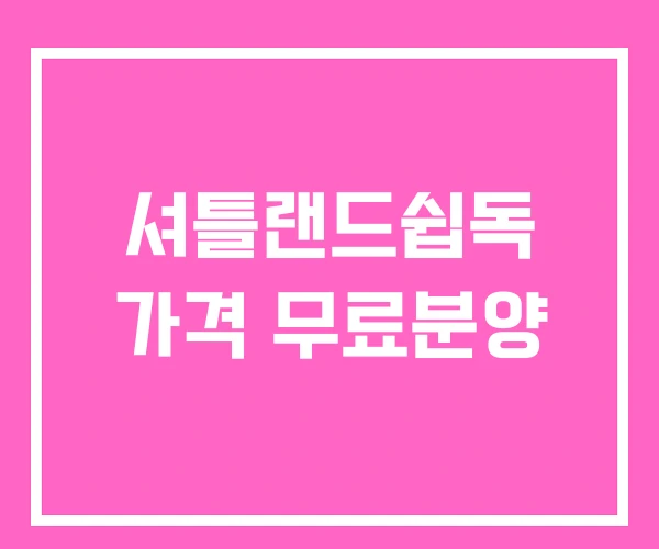 셔틀랜드쉽독 가격 무료분양