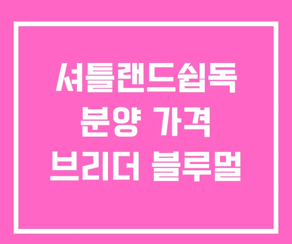 셔틀랜드쉽독 분양 가격 브리더 블루멀 셔틀랜드쉽독 분양 가격 브리더 블루멀