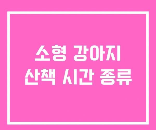 소형 강아지 산책 시간 종류