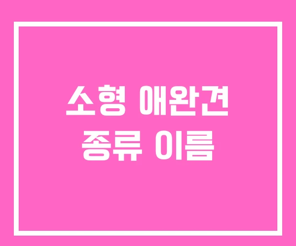 소형 애완견 종류 이름 소형 애완견 종류 이름
