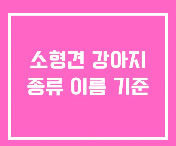 소형견 강아지 종류 이름 기준