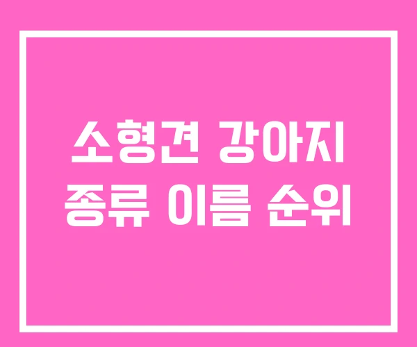 소형견 강아지 종류 이름 순위 소형견 강아지 종류 이름 순위