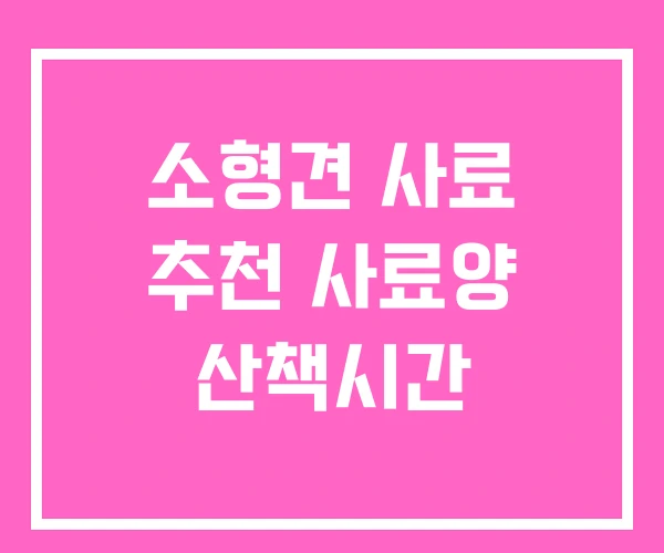 소형견 사료 추천 사료양 산책시간