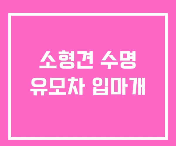 소형견 수명 유모차 입마개 소형견 수명 유모차 입마개