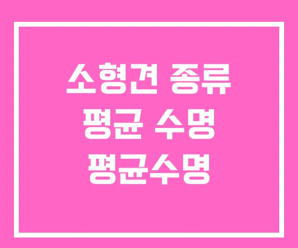소형견 종류 평균 수명 평균수명