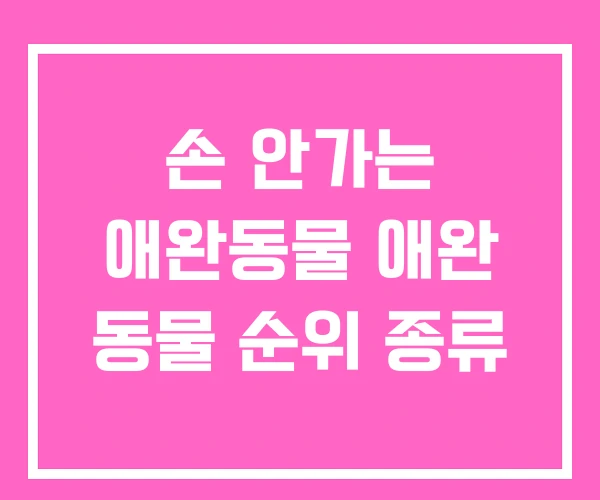 손 안가는 애완동물 애완 동물 순위 종류