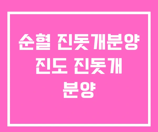 순혈 진돗개분양 진도 진돗개 분양