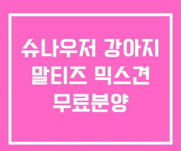 슈나우저 강아지 말티즈 믹스견 무료분양