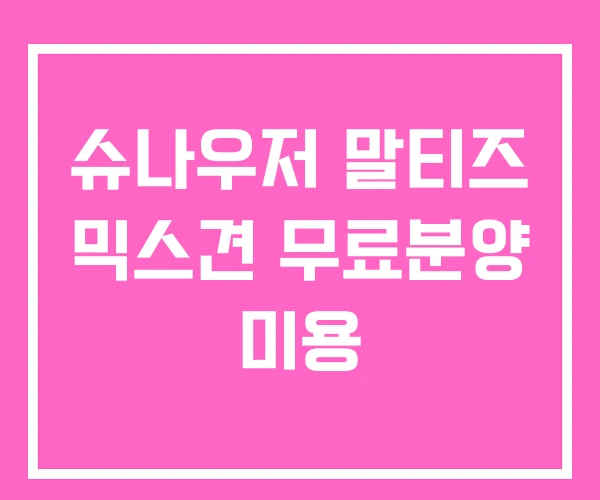 슈나우저 말티즈 믹스견 무료분양 미용