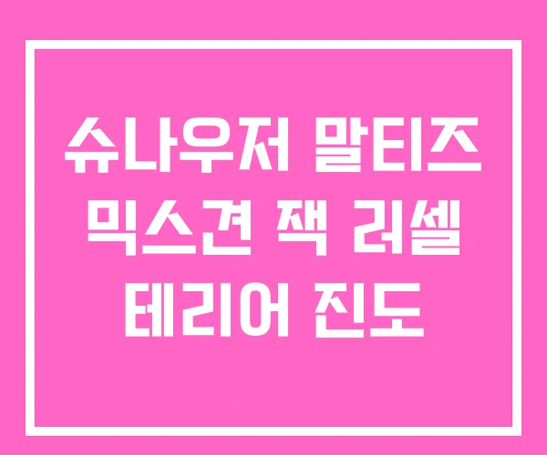 슈나우저 말티즈 믹스견 잭 러셀 테리어 진도