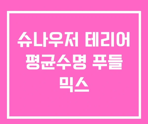 슈나우저 테리어 평균수명 푸들 믹스