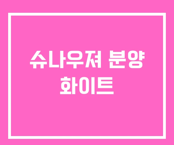 슈나우져 분양 화이트