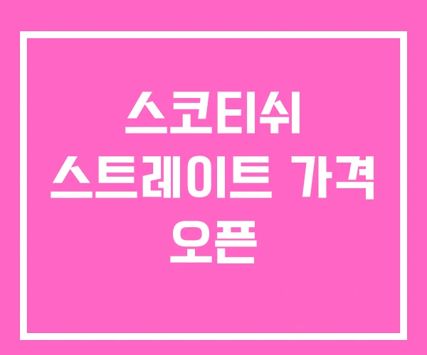 스코티쉬 스트레이트 가격 오픈