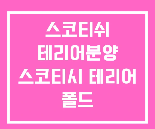 스코티쉬 테리어분양 스코티시 테리어 폴드 스코티쉬 테리어분양 스코티시 테리어 폴드