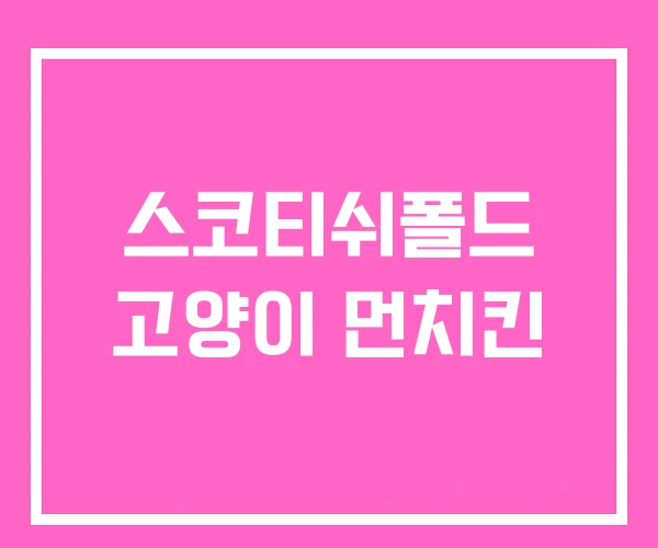 스코티쉬폴드 고양이 먼치킨