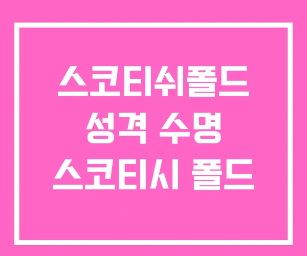 스코티쉬폴드 성격 수명 스코티시 폴드