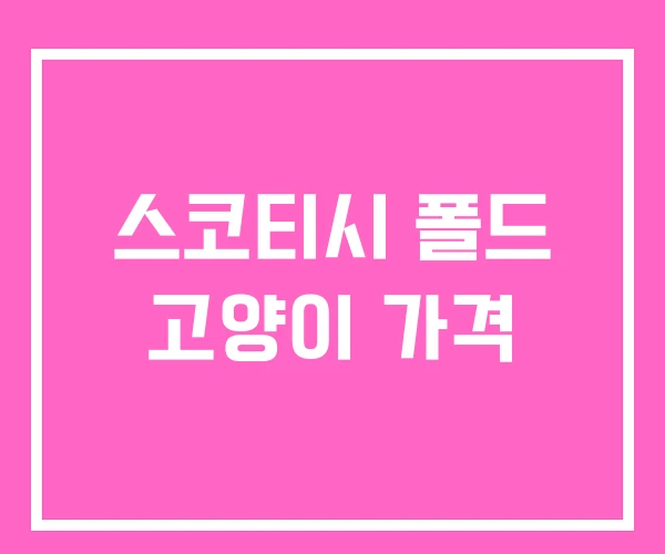 스코티시 폴드 고양이 가격