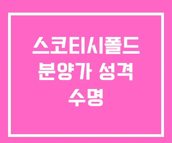 스코티시폴드 분양가 성격 수명