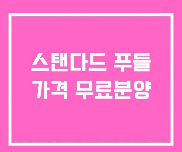 스탠다드 푸들 가격 무료분양