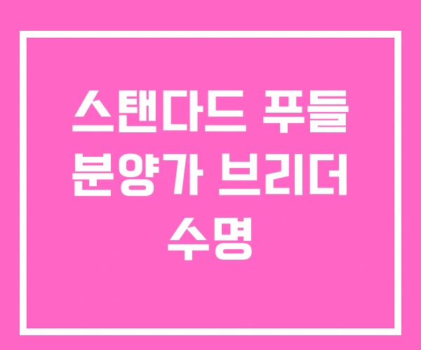 스탠다드 푸들 분양가 브리더 수명